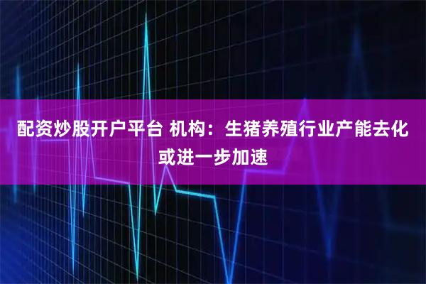 配资炒股开户平台 机构：生猪养殖行业产能去化或进一步加速
